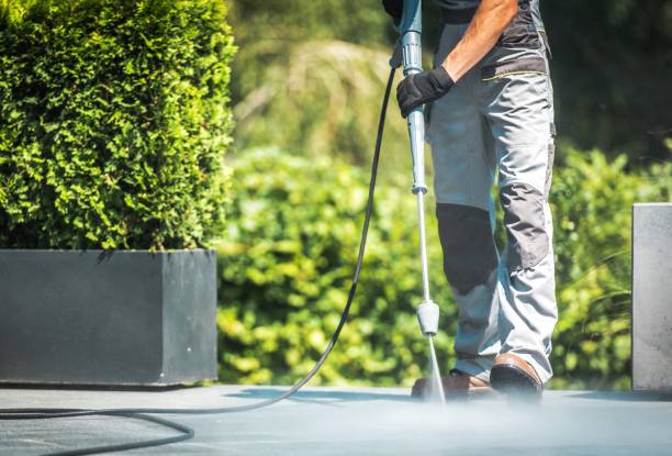 Animal Enclosure Cleaning in Lockwood, MT
